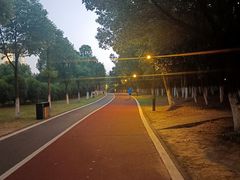 -艾溪湖湿地公园