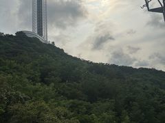 -富斯特索道