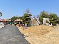 -武汉紫薇都市田园