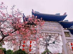 -宝墨园景区