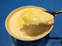 -德禄酸奶(莫家街店)