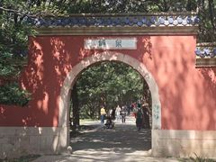-灵谷景区