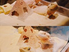 -姑苏二十四集(iD PARK 歌林公园店)