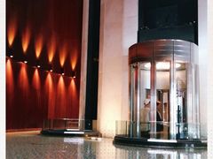 -新加坡文华东方酒店