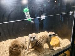 -太平洋海底世界