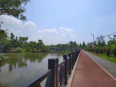 -上海长兴岛郊野公园