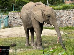 -哈尔滨北方森林动物园