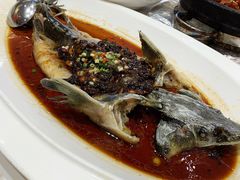 豆豉蒸鲟龙鱼-万龙洲海鲜(大兴绿地缤纷城店)