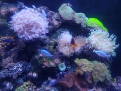 -成都浩海立方海洋公园