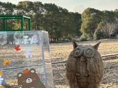 -嘉北郊野公园