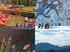 -天目湖山水园