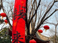 -华清宫景区