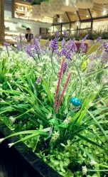 android_upload_pic-香草美匙