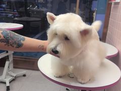-FAELING PETS美天灵宠物(富力广场店)