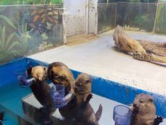 -华夏文旅海洋公园