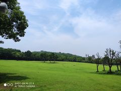 -上海吴淞炮台湾国家湿地公园