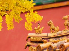-故宫博物院(故宫)