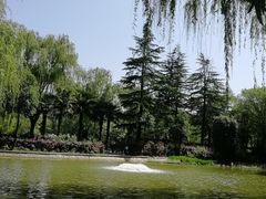 -西安市长乐公园