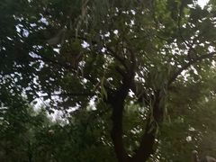 -方庄体育公园