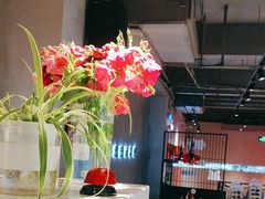 -辣伍鲜毛肚老火锅(元一店)