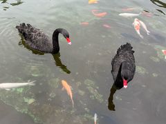 -百联奥特莱斯广场(长沙店)