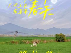 -老乌家特色小炒泡馍(大皮院店)