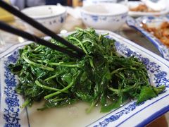 枸杞藤-洞天食府(北大街店)