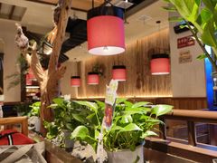 -老阿爸鲜鱼土菜(独墅湖店)