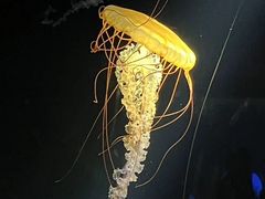 -欢乐海岸海洋奇梦馆
