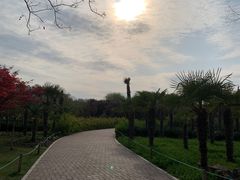 -郑州植物园