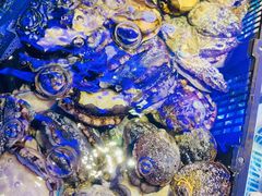 六头鲍鱼-捞围鲜·港式打边炉(海阳路店)