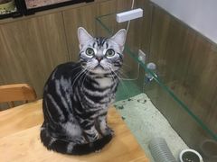 -藦茜花园宠物主题亲子互动体验馆(国顺东路店)