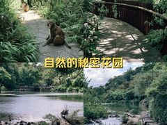 -花溪公园