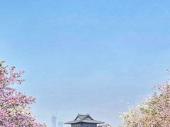 -海珠湖公园