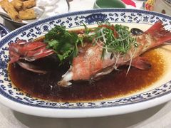 广式蒸东星斑-宁波状元楼酒店(和义路店)