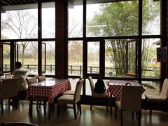 -绿荫坊餐厅(共青森林公园店)
