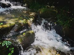 -中国茶叶博物馆(双峰馆区)