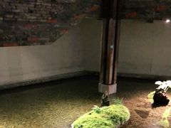 -几荷·恰似故人来(秀水广场店)