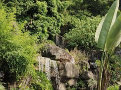 -广州神农草堂中医药博物馆