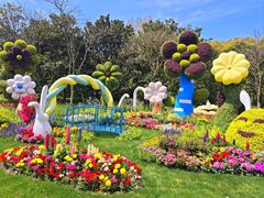 -上海共青森林公园