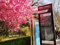 -陶然亭公园南门停车场