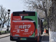 -浙江省博物馆(孤山馆区)