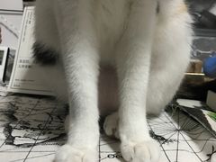 -隆都四季香饭店(碧海路店)