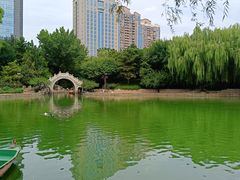 -团结湖公园