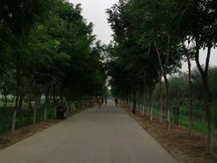 -西青郊野公园