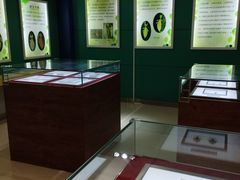 -上海昆虫博物馆