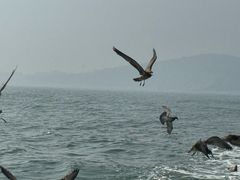 -大连金石滩滨海国家地质公园