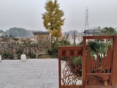 -白洋淀景区
