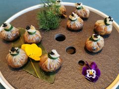云南黑虎掌菌布袋-三利音·东方司宴(外滩店)