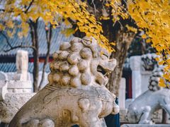 -北京石刻艺术博物馆(五塔寺)